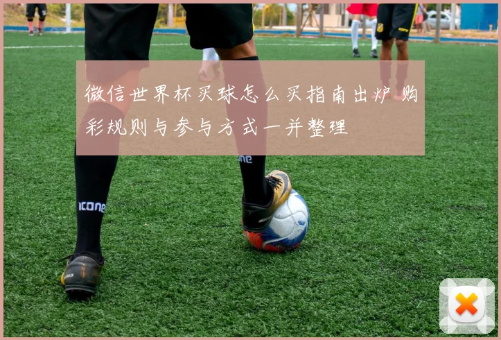 微信世界杯买球怎么买指南出炉 购彩规则与参与方式一并整理