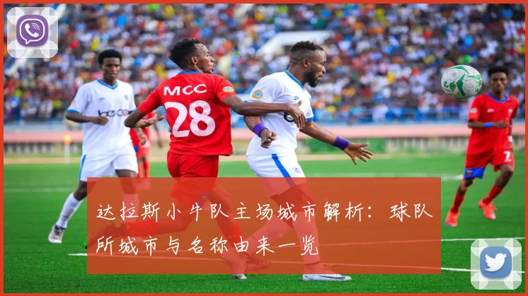 达拉斯小牛队主场城市解析：球队所城市与名称由来一览