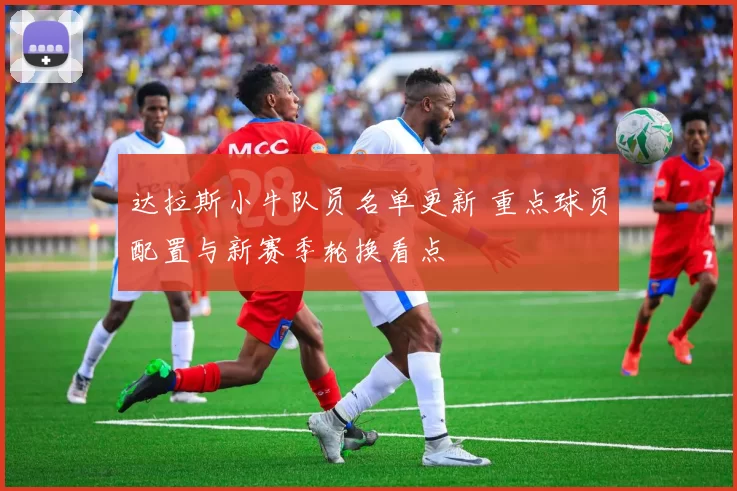 达拉斯小牛队员名单更新 重点球员配置与新赛季轮换看点